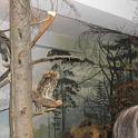 SAM_0351 (2)